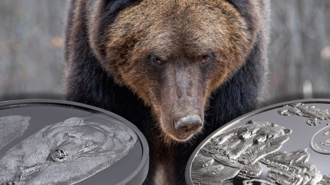 Mongolia - Brown Bear – Growing Up