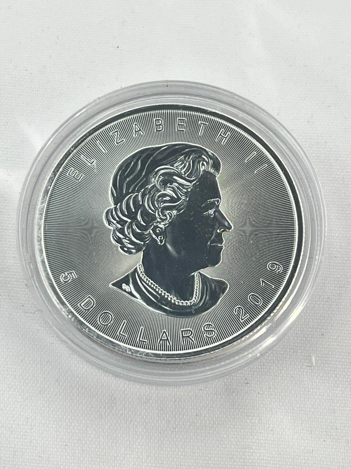 Skulls 12 x 1 oz