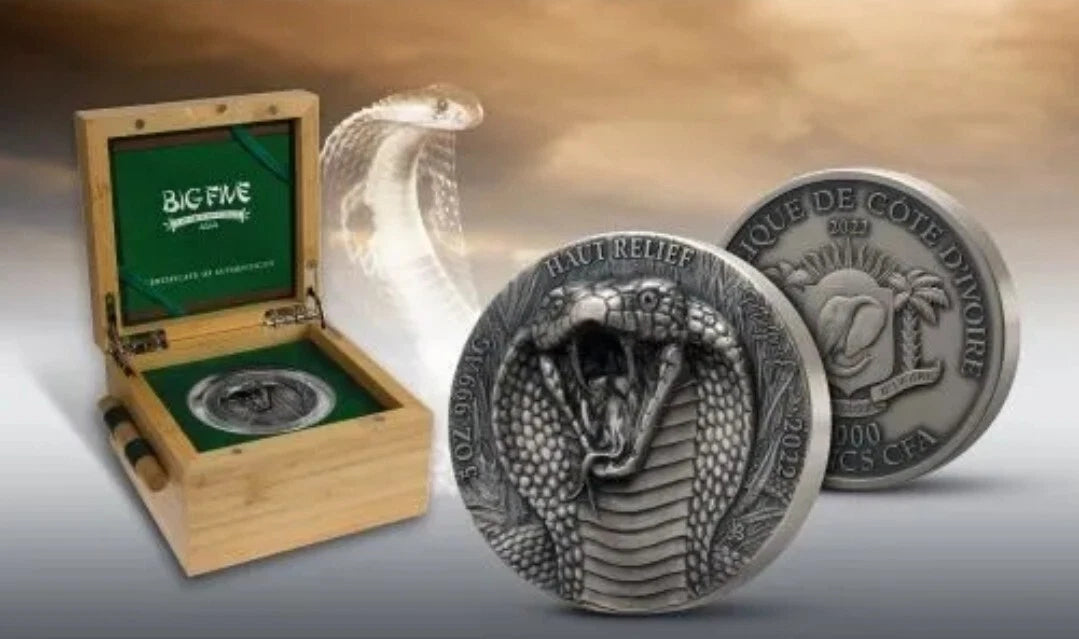 Ivory coast - King Cobra - Big Five Asia - 5 oz