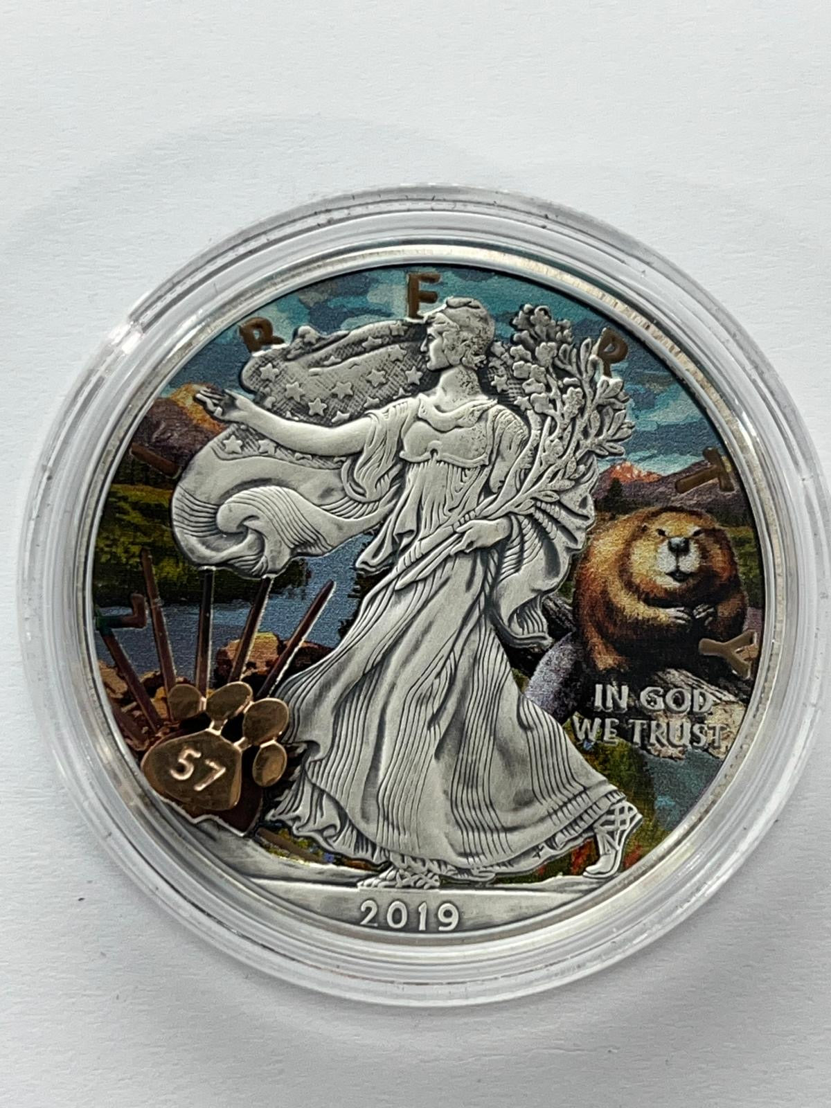 National Parks of United States #9 - 1 oz