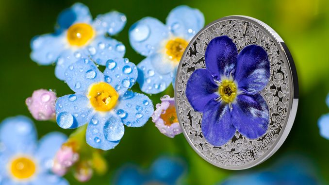 Palau - Forget Me Not