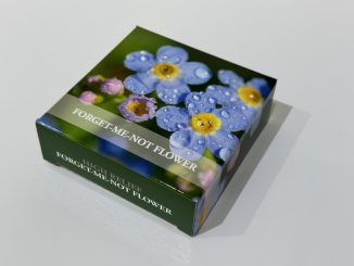 Palau - Forget Me Not