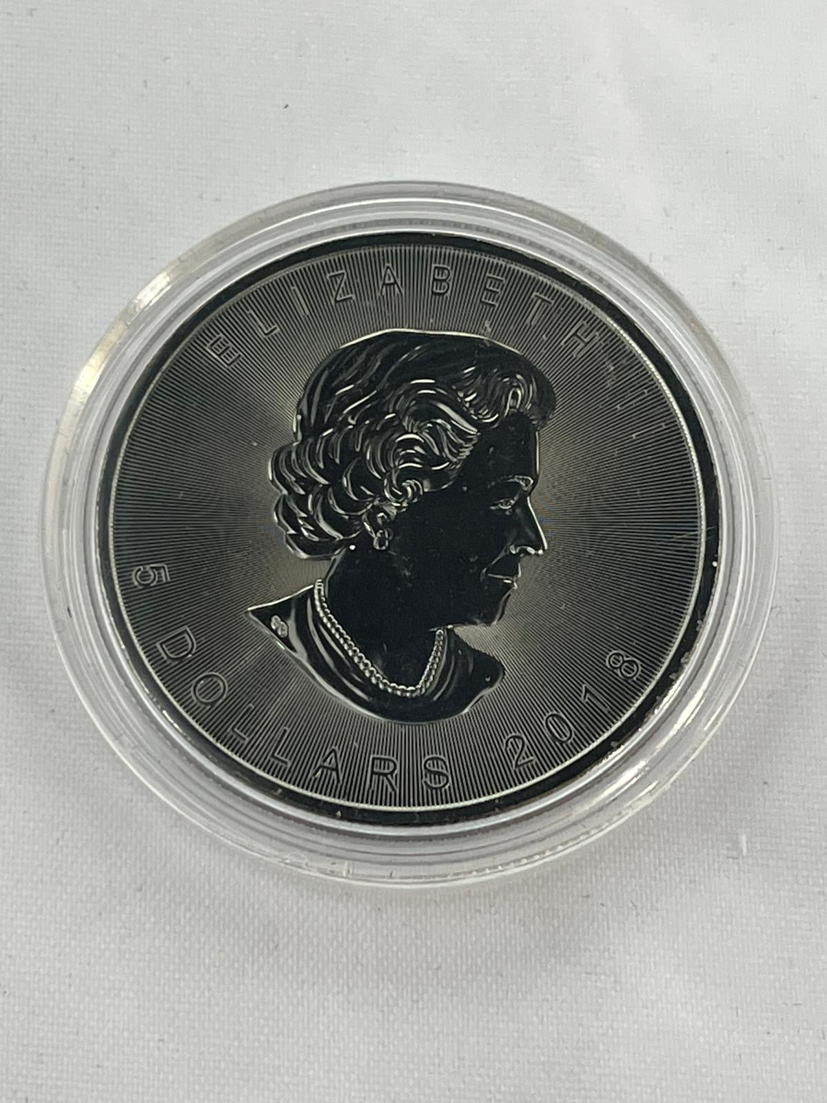 Skulls 12 x 1 oz