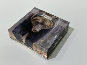 Mongolia - Brown Bear – Growing Up