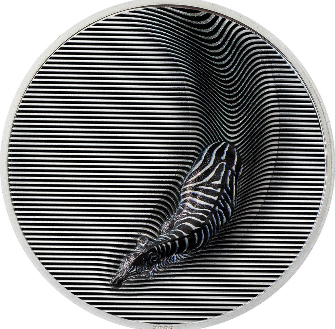 Palau - Zebra - Camouflage of Nature - 3 oz