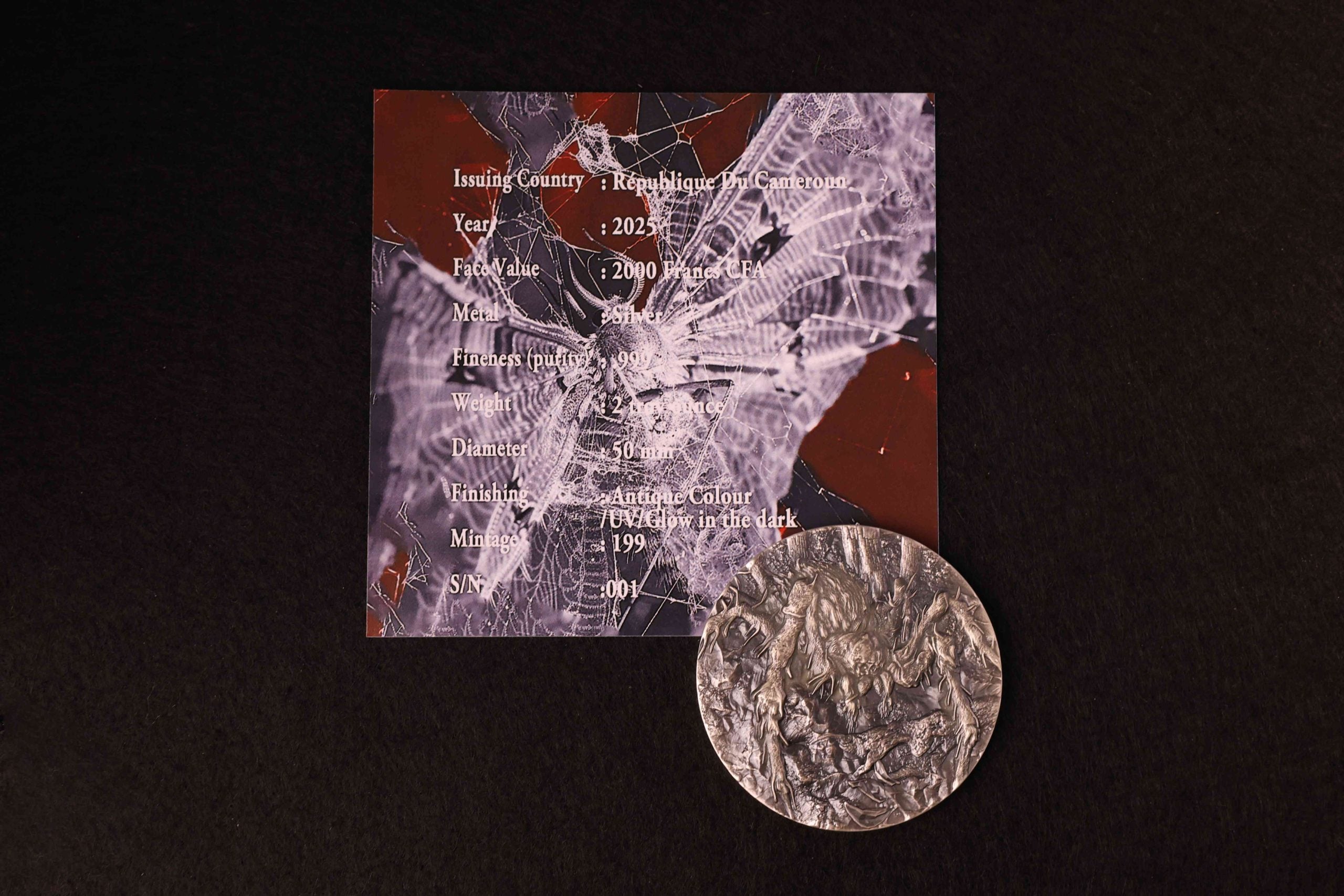 Cameroon - Tarantula Spiders - 2 oz