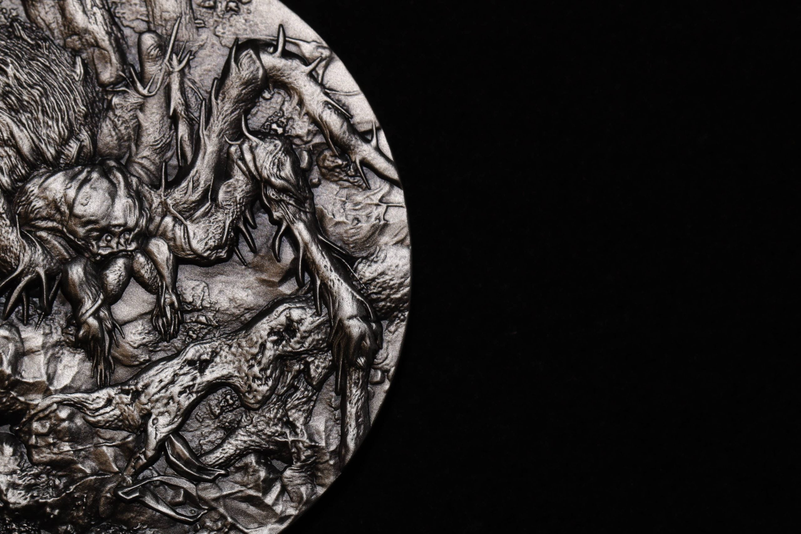 Cameroon - Tarantula Spiders - 2 oz