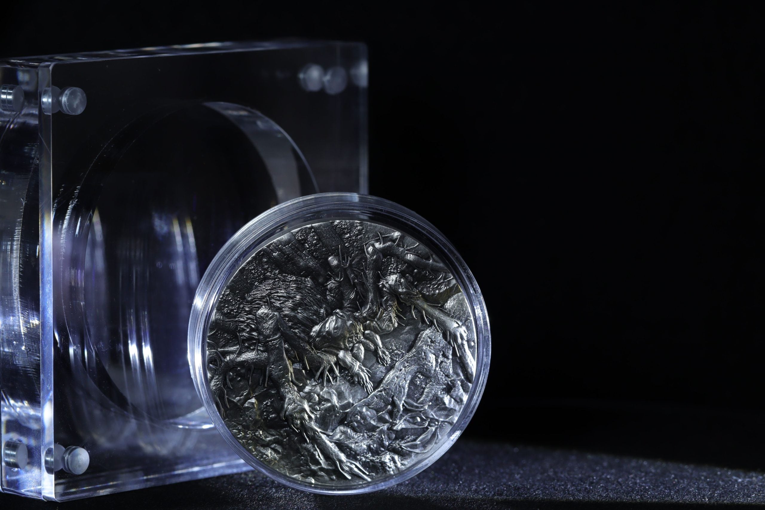 Cameroon - Tarantula Spiders - 2 oz