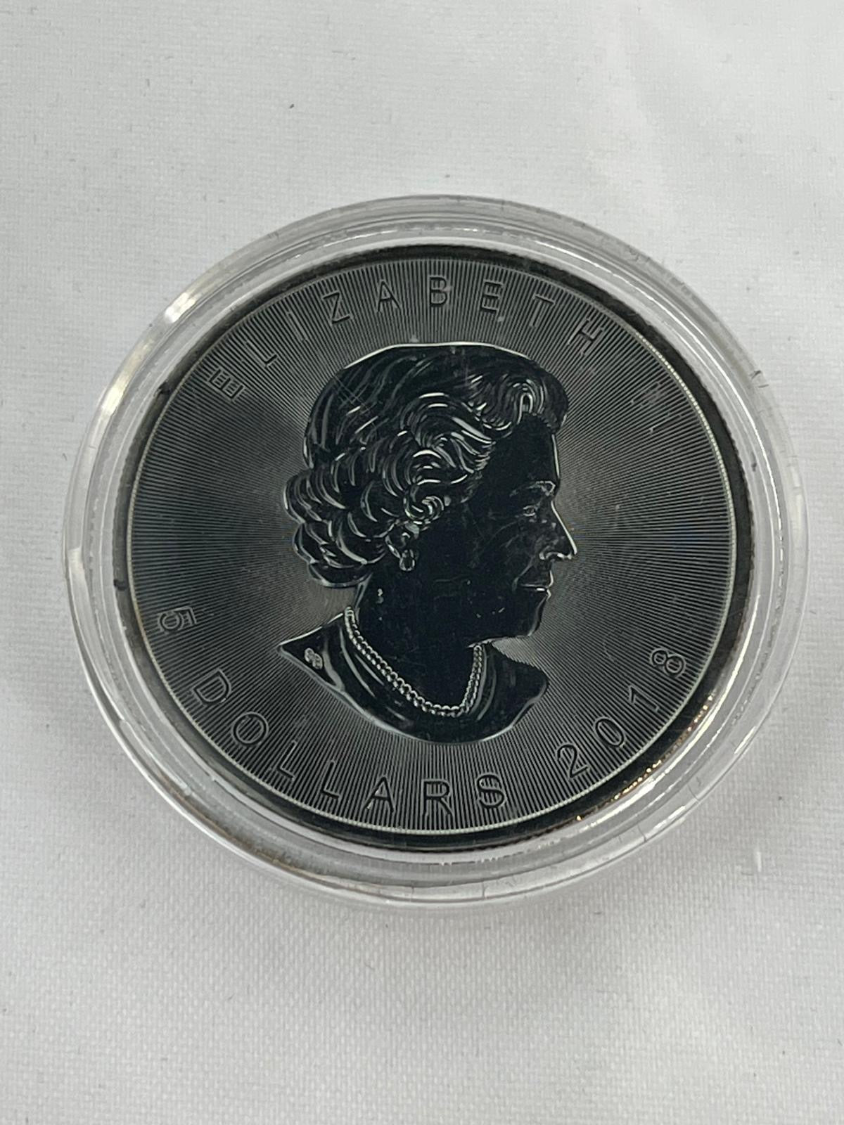 Skulls 12 x 1 oz