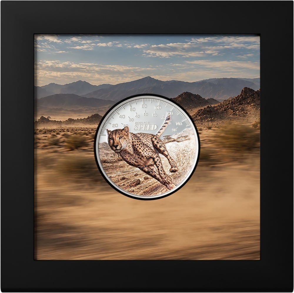 Cook Islands - Born for Speed – Cheetah