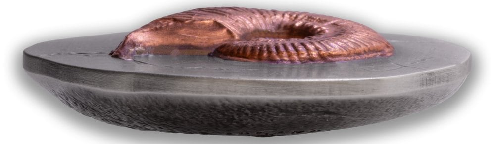 Niue - Fossil 3D Series – Ammonite