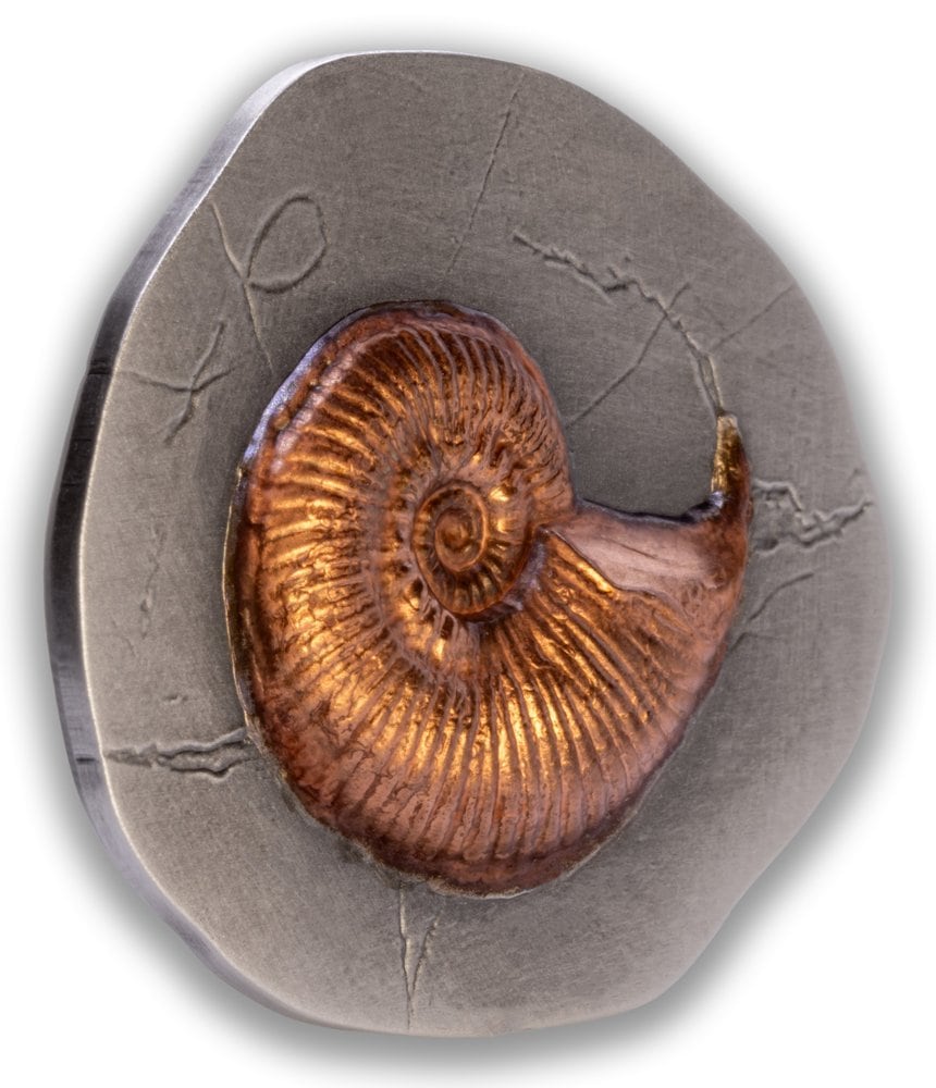 Niue - Fossil 3D Series – Ammonite