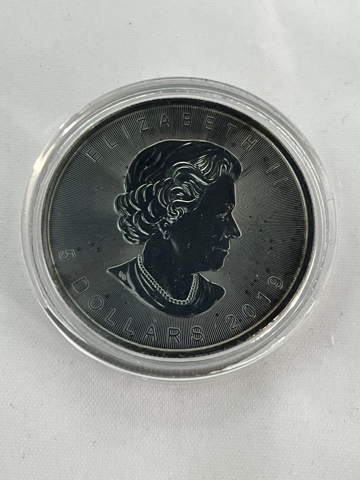 Skulls 12 x 1 oz