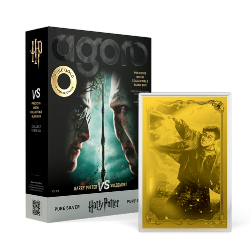 Niue - Harry Potter vs Voldemort Blind Box