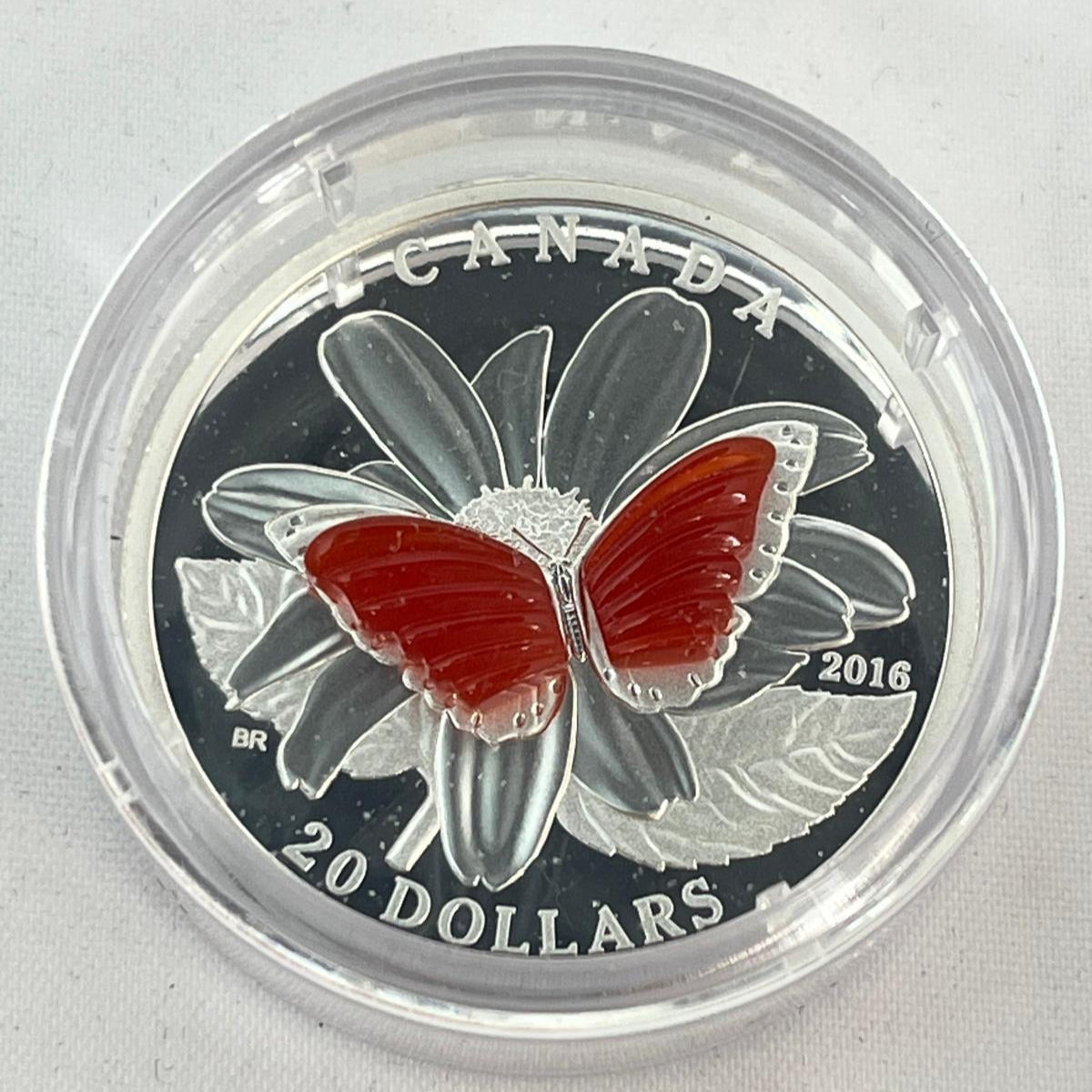 The Colorful Wings of a Butterfly 1 oz