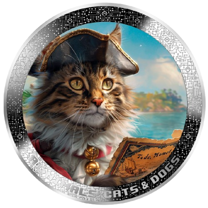 Cameroon – AI•NIMALS - Pirate Cat