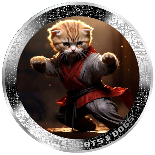 Cameroon – AI•NIMALS - Kung Fu Cat