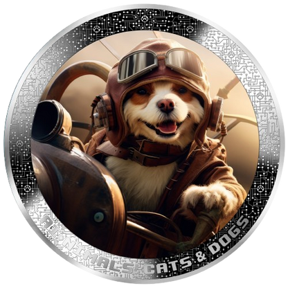 Cameroon – AI•NIMALS - Pilot Dog