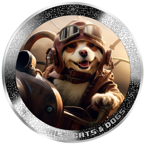Cameroon – AI•NIMALS - Pilot Dog