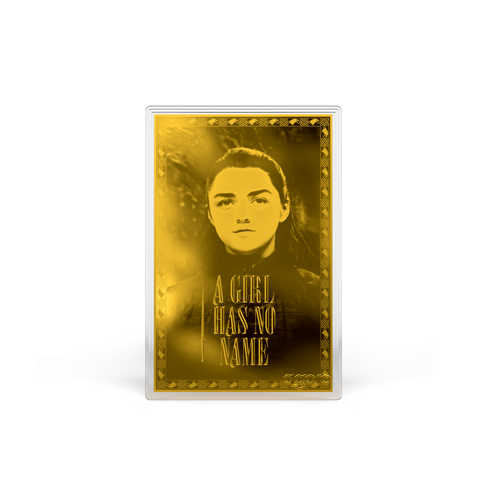 Niue - Game of Thrones: House Stark Blind Box