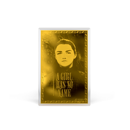 Niue - Game of Thrones: House Stark Blind Box