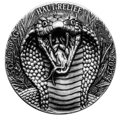 Ivory coast - King Cobra - Big Five Asia - 5 oz