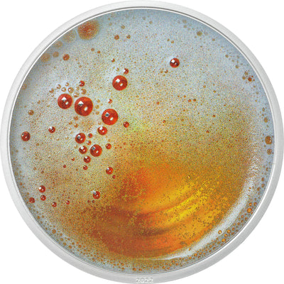 Pilsner Beer - Food &amp; Drinks 1 oz