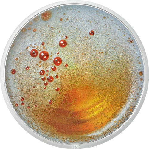 Pilsner Beer - Food &amp; Drinks 1 oz