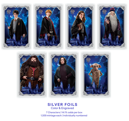 Niue - HARRY POTTER 25 YEARS OF MAGIC - Harry Potter Blind Box Foil
