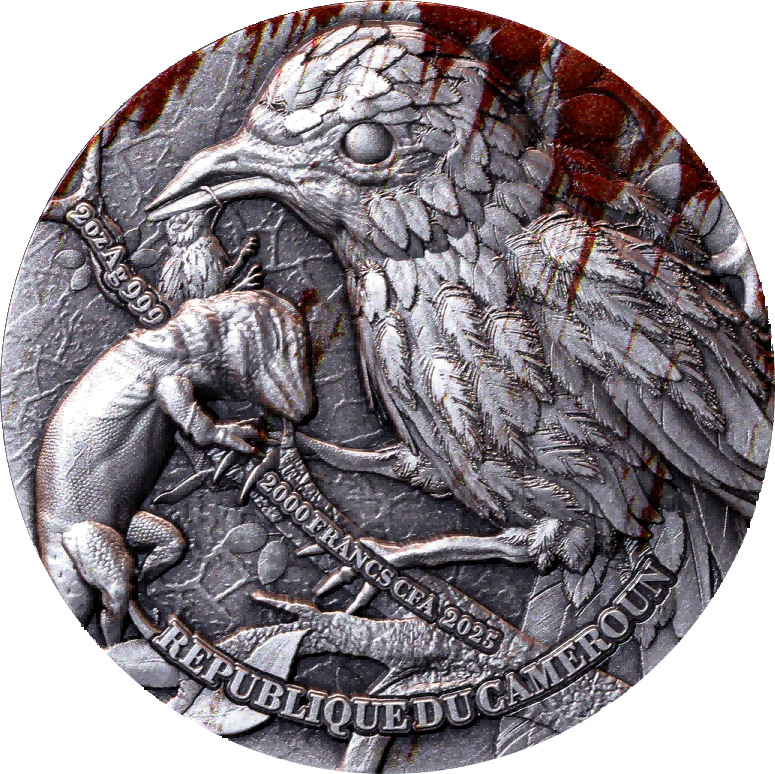 Cameroon - Shrike Butcher Bird - 2 oz