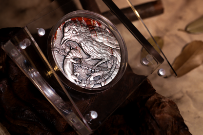 Cameroon - Shrike Butcher Bird - 2 oz