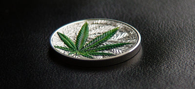 Benin - Cannabis Sativa