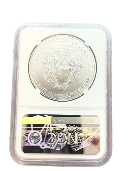 American - 2019 - Silver Eagle NGC MS 70 First day issue - 1 oz