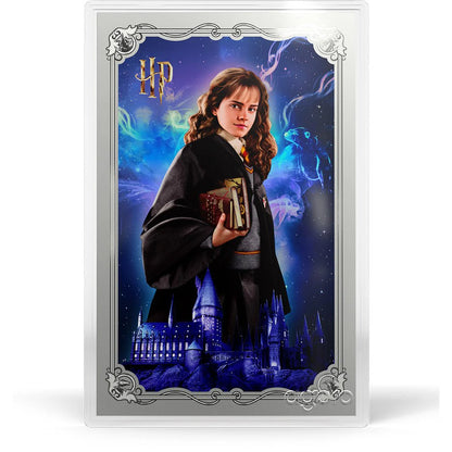 Niue - HARRY POTTER 25 YEARS OF MAGIC - Harry Potter Blind Box Foil