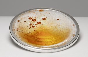 Cameroon - Pilsner Beer – Food & Drinks