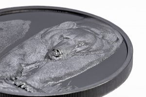 Brown Bear – Growing Up 2 oz