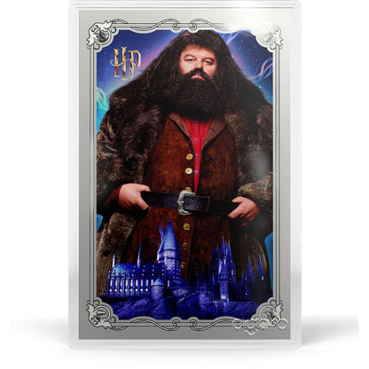 Niue - HARRY POTTER 25 YEARS OF MAGIC - Harry Potter Blind Box Foil