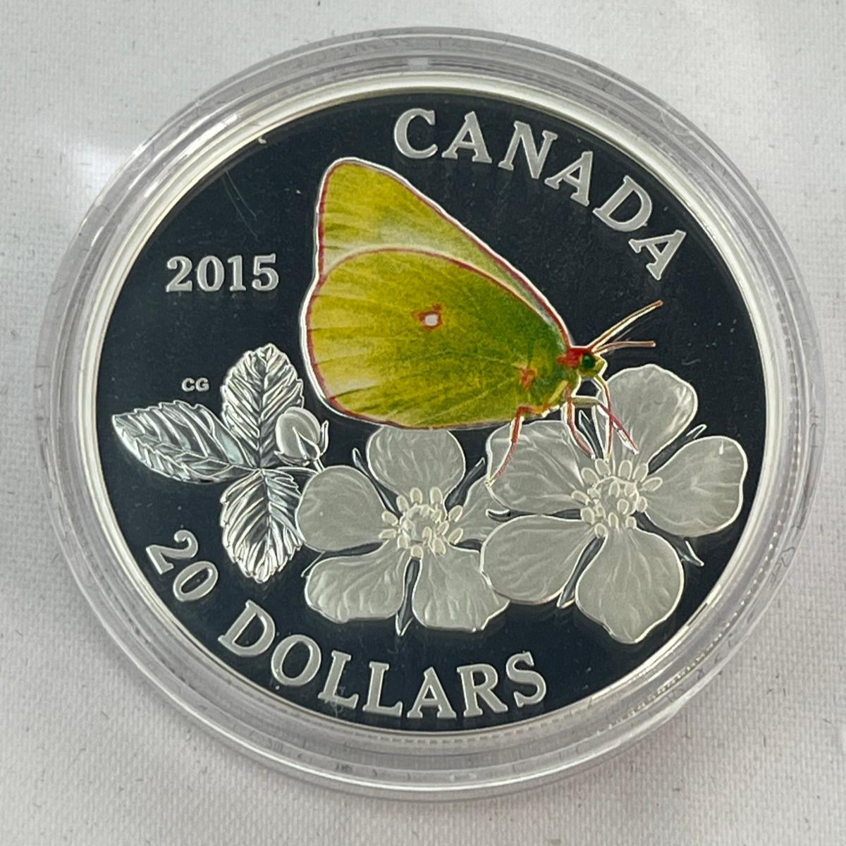 Butterflies of Canada - Colias Gigantea 1 oz