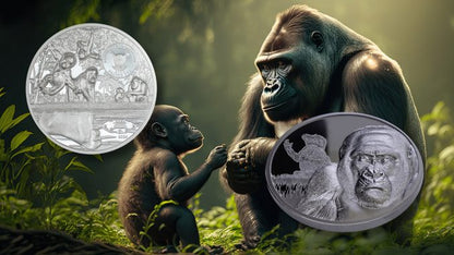 Cameroon - Gorilla – Growing Up