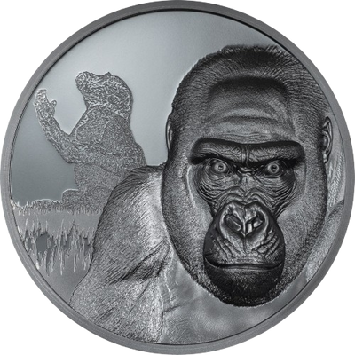 Cameroon - Gorilla – Growing Up
