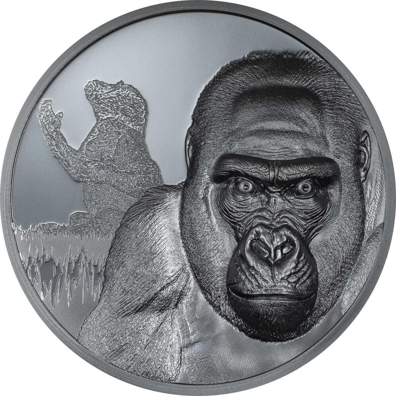 Cameroon - Gorilla – Growing Up