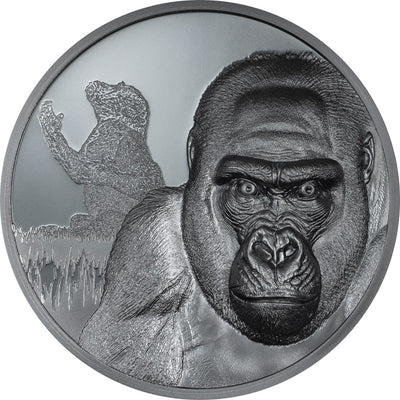 Cameroon - Gorilla – Growing Up