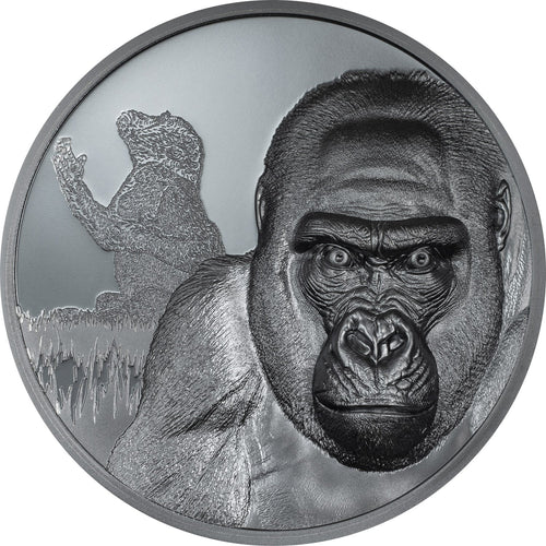 Cameroon - Gorilla – Growing Up
