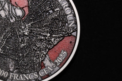 Cameroon - Tarantula Spiders - 2 oz