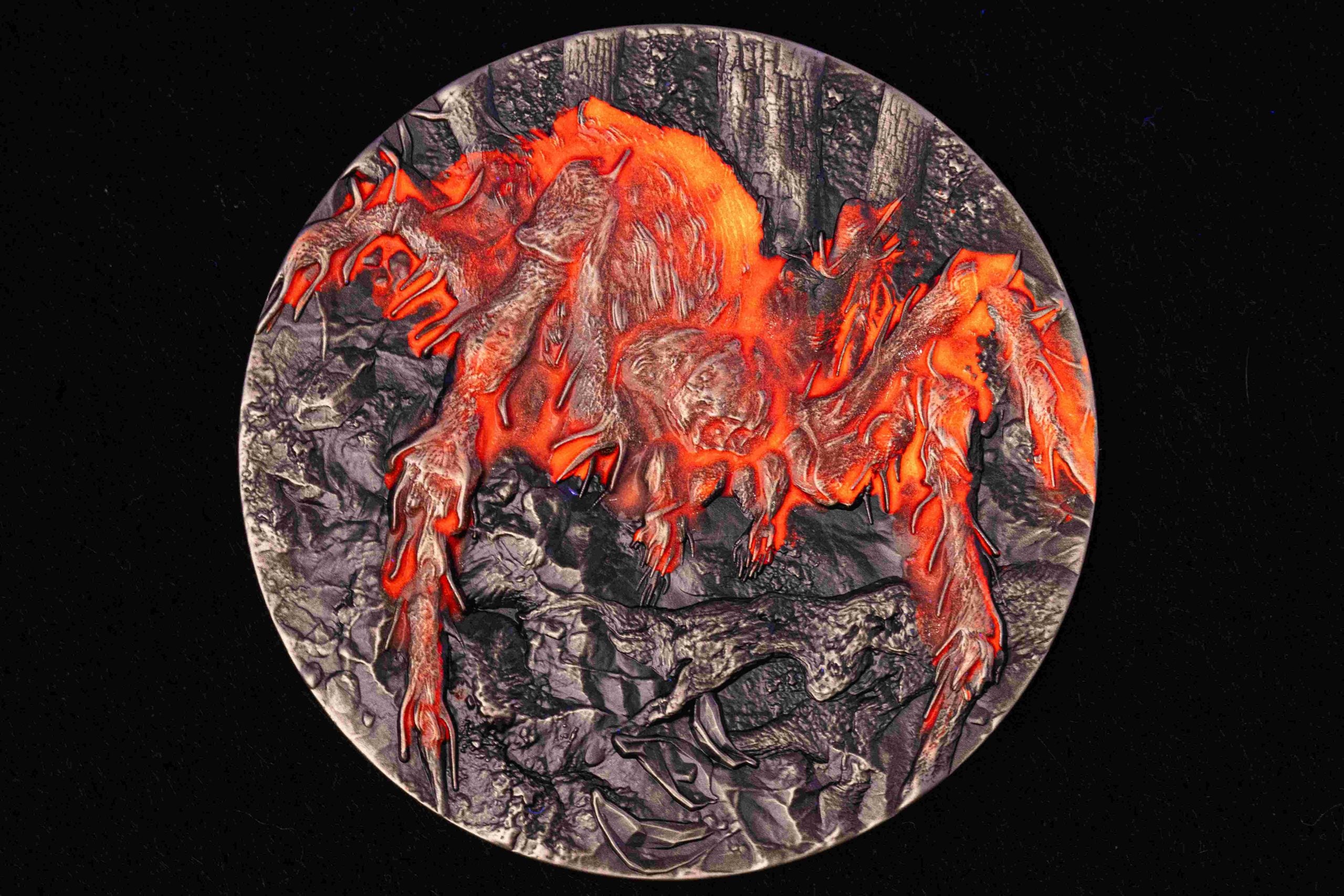 Cameroon - Tarantula Spiders - 2 oz