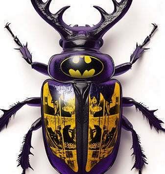 BeetleCan Batman II - F2B