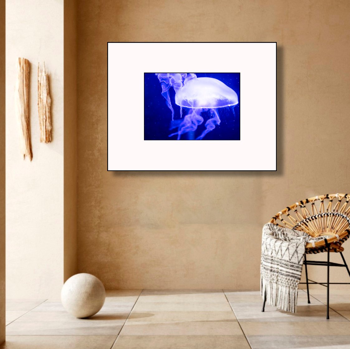 Jellyfish, In the Blue - Roberto Cavalli