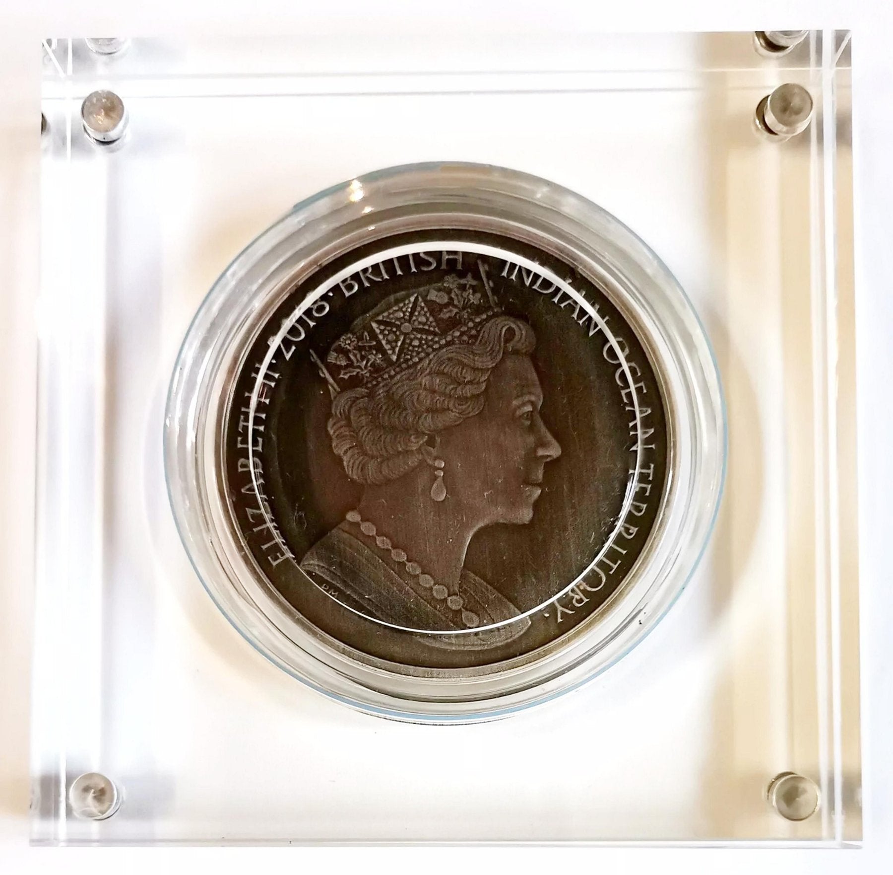Medusa 2 oz