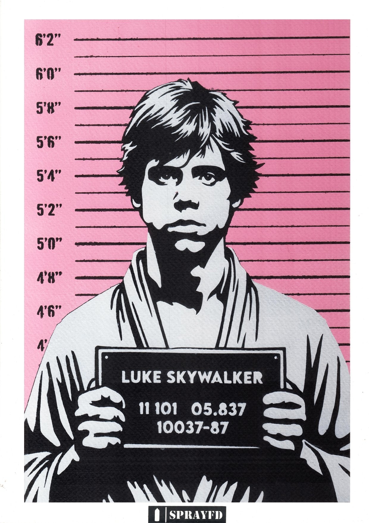 Star Wars Mix Business Vader, Lola Leia, Stormtrooper Strike and Luke Mugshot - Kastellan