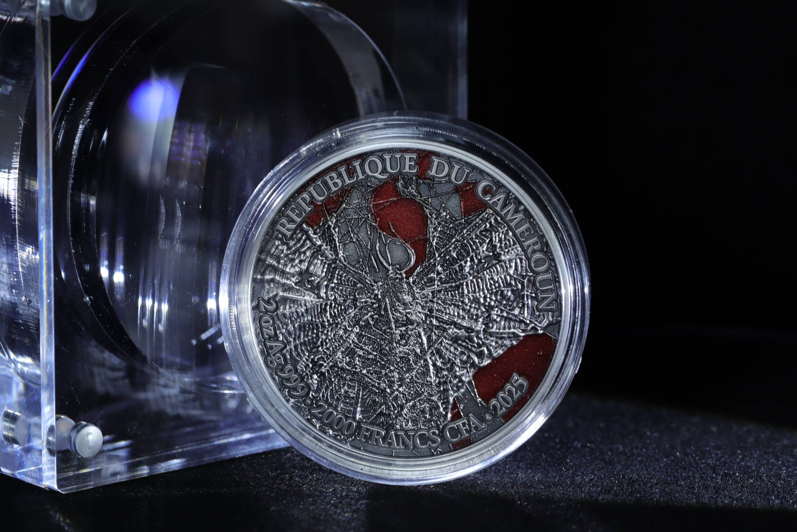 Cameroon - Tarantula Spiders - 2 oz